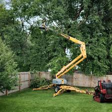 Best Lawn Watering Services  in West Wyoming, PA