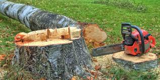 Best Utility Line Clearance  in West Wyoming, PA