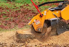 Best Arborist Consultation Services  in West Wyoming, PA
